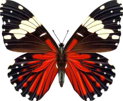 061