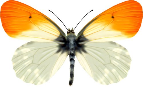 066